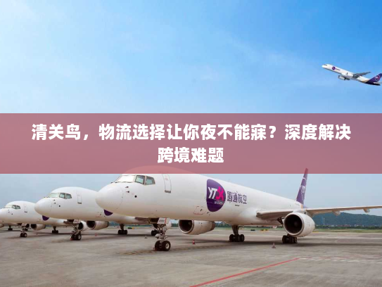 清关鸟,物流选择让你夜不能寐?深度解决跨境难题 清关鸟,物流选择让你夜不能寐?深度解决跨境难题