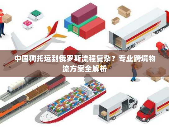 中国狗托运到俄罗斯流程复杂？专业跨境物流方案全解析