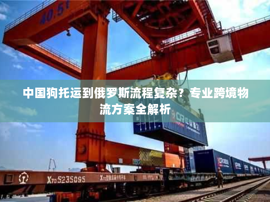 中国狗托运到俄罗斯流程复杂？专业跨境物流方案全解析