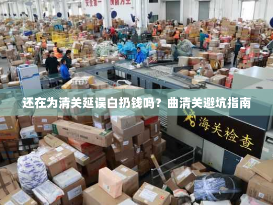 还在为清关延误白扔钱吗?曲清关避坑指南 还在为清关延误白扔钱吗?曲清关避坑指南