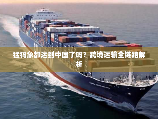 猛犸象都运到中国了吗?跨境运输全链路解析 猛犸象都运到中国了吗?跨境运输全链路解析