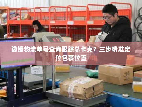 豫锋物流单号查询跟踪总卡壳？三步精准定位包裹位置