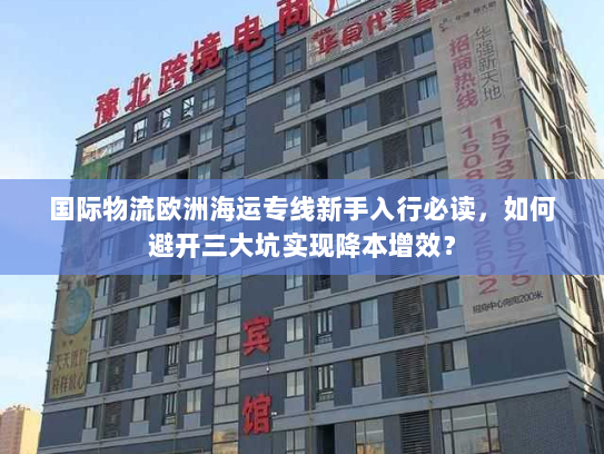 国际物流欧洲海运专线新手入行必读，如何避开三大坑实现降本增效？