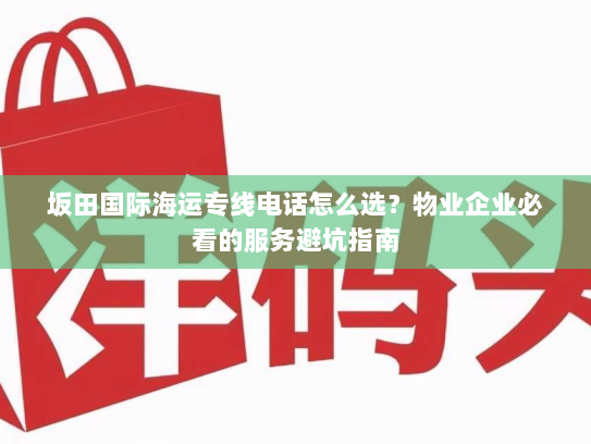 坂田国际海运专线电话怎么选？物业企业必看的服务避坑指南