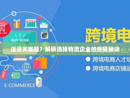 法清关难题?解锁选择物流企业的终极秘诀 法清关难题?解锁选择物流企业的终极秘诀