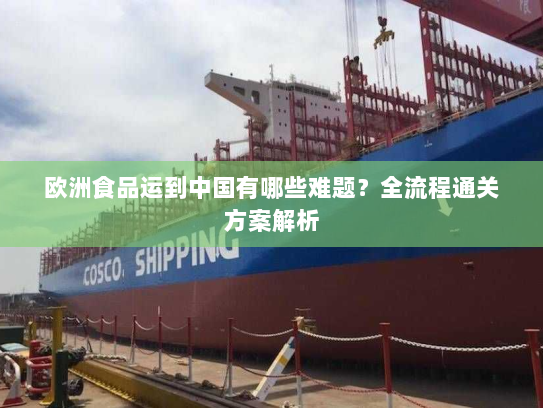 欧洲食品运到中国有哪些难题?全流程通关方案解析 欧洲食品运到中国有哪些难题?全流程通关方案解析