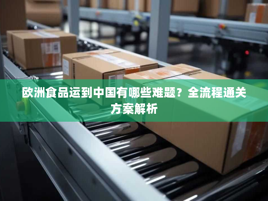欧洲食品运到中国有哪些难题?全流程通关方案解析 欧洲食品运到中国有哪些难题?全流程通关方案解析