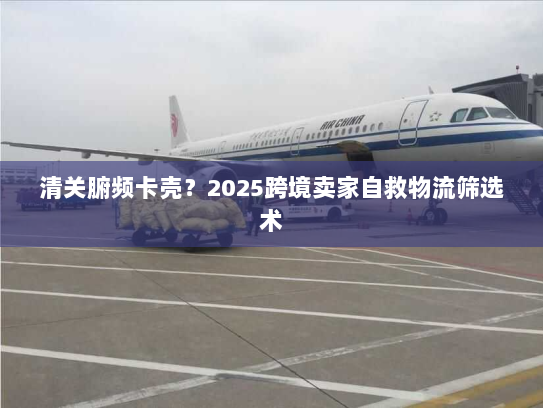 清关腑频卡壳？2025跨境卖家自救物流筛选术