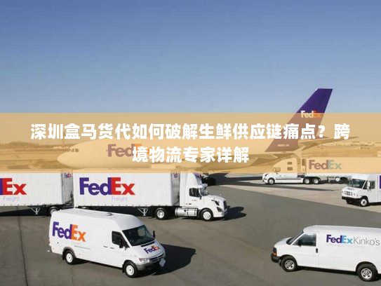 深圳盒马货代如何破解生鲜供应链痛点?跨境物流专家详解 深圳盒马货代如何破解生鲜供应链痛点?跨境物流专家详解