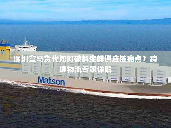 深圳盒马货代如何破解生鲜供应链痛点?跨境物流专家详解 深圳盒马货代如何破解生鲜供应链痛点?跨境物流专家详解