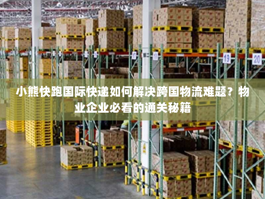 小熊快跑国际快递如何解决跨国物流难题？物业企业必看的通关秘籍