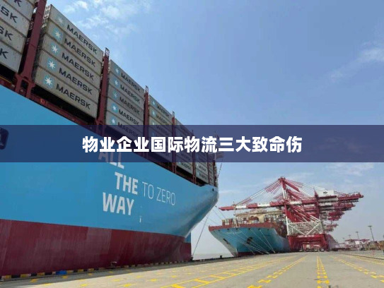 物业企业国际物流三大致命伤