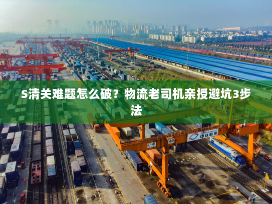 S清关难题怎么破?物流老司机亲授避坑3步法 S清关难题怎么破?物流老司机亲授避坑3步法