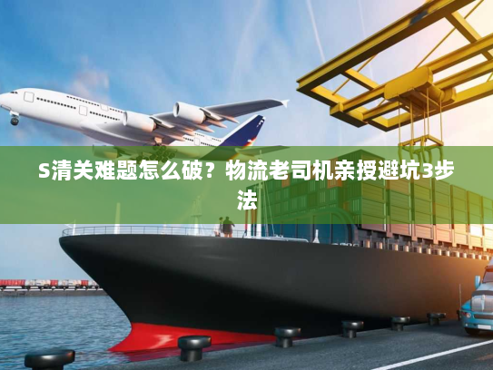 S清关难题怎么破?物流老司机亲授避坑3步法 S清关难题怎么破?物流老司机亲授避坑3步法