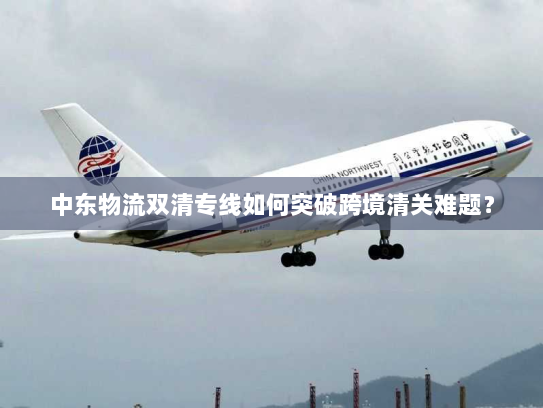 中东物流双清专线如何突破跨境清关难题? 中东物流双清专线如何突破跨境清关难题?