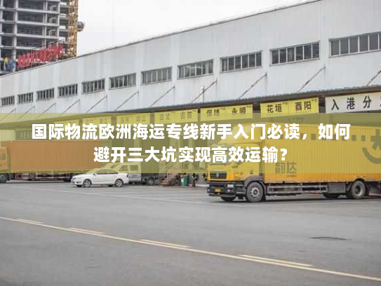 国际物流欧洲海运专线新手入门必读，如何避开三大坑实现高效运输？