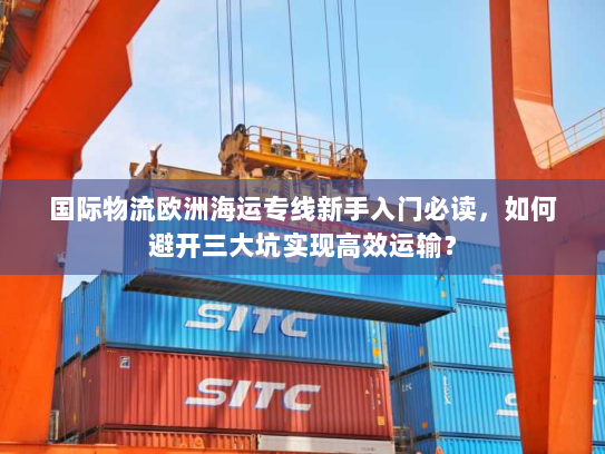 国际物流欧洲海运专线新手入门必读，如何避开三大坑实现高效运输？