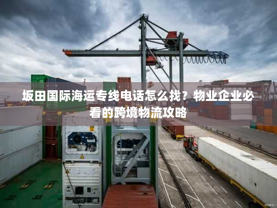 坂田国际海运专线电话怎么找？物业企业必看的跨境物流攻略
