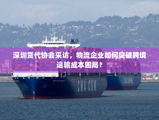 深圳货代协会采访,物流企业如何突破跨境运输成本困局? 深圳货代协会采访,物流企业如何突破跨境运输成本困局?