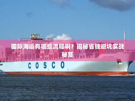 国际海运有哪些流程啊？揭秘省钱避坑实战秘笈
