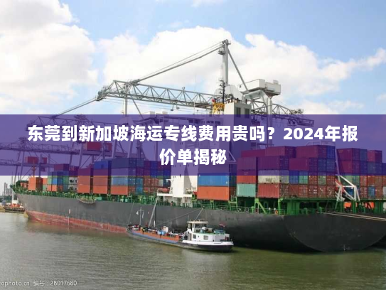 东莞到新加坡海运专线费用贵吗？2024年报价单揭秘