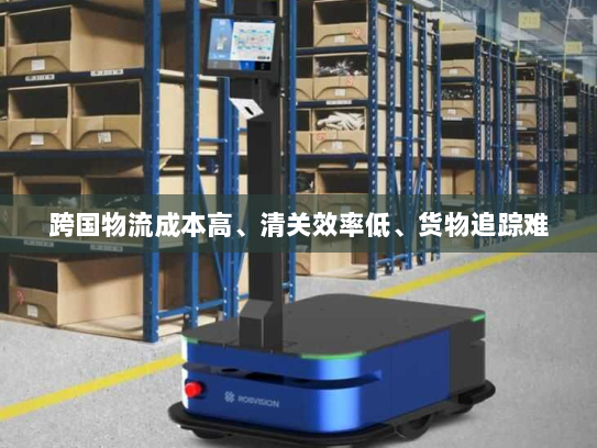 跨国物流成本高、清关效率低、货物追踪难 跨国物流成本高、清关效率低、货物追踪难