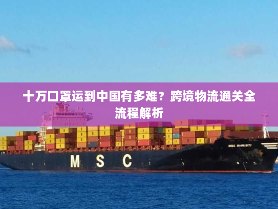 十万口罩运到中国有多难？跨境物流通关全流程解析