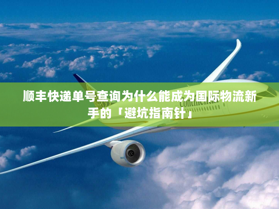 顺丰快递单号查询为什么能成为国际物流新手的「避坑指南针」