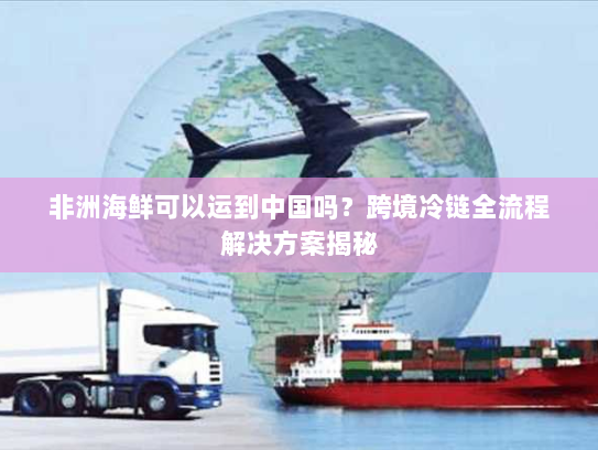 非洲海鲜可以运到中国吗？跨境冷链全流程解决方案揭秘