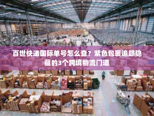 百世快递国际单号怎么查？紫色包裹追踪隐藏的3个跨境物流门道