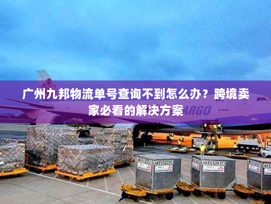 广州九邦物流单号查询不到怎么办?跨境卖家必看的解决方案 广州九邦物流单号查询不到怎么办?跨境卖家必看的解决方案
