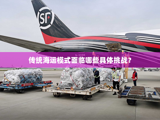传统海运模式面临哪些具体挑战？