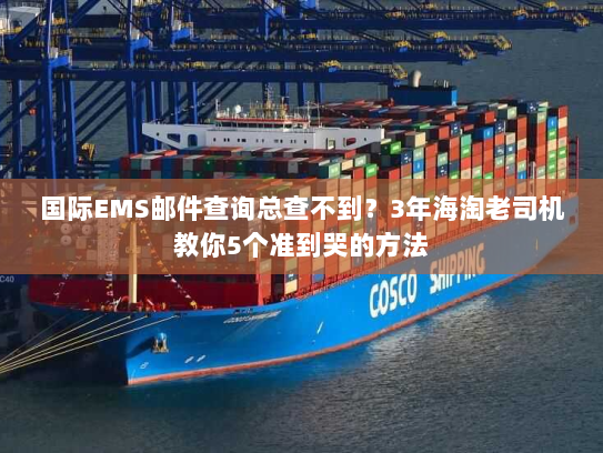 国际EMS邮件查询总查不到？3年海淘老司机教你5个准到哭的方法