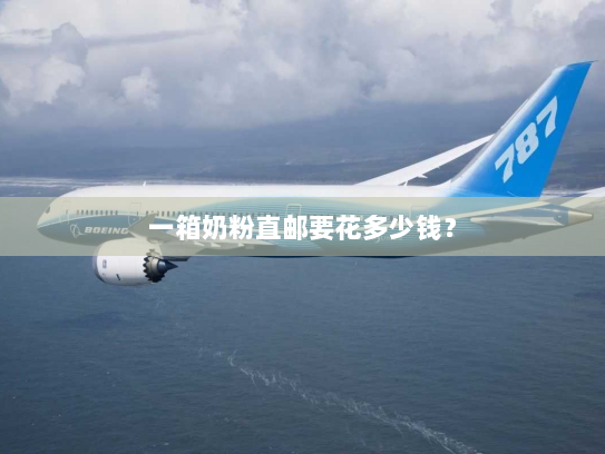 一箱奶粉直邮要花多少钱？