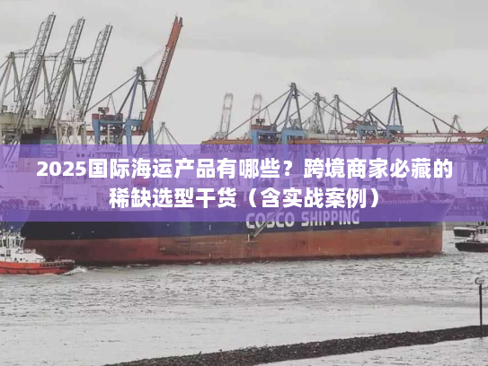 2025国际海运产品有哪些？跨境商家必藏的稀缺选型干货（含实战案例）