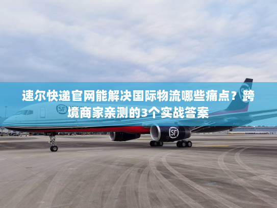 速尔快递官网能解决国际物流哪些痛点?跨境商家亲测的3个实战答案 速尔快递官网能解决国际物流哪些痛点?跨境商家亲测的3个实战答案
