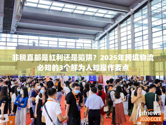 非税直邮是红利还是陷阱?2025年跨境物流必知的3个鲜为人知操作要点 非税直邮是红利还是陷阱?2025年跨境物流必知的3个鲜为人知操作要点
