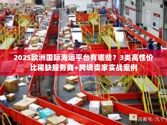 2025欧洲国际海运平台有哪些？3类高性价比稀缺服务商+跨境卖家实战案例