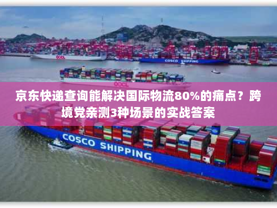 京东快递查询能解决国际物流80%的痛点？跨境党亲测3种场景的实战答案