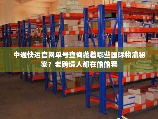 中通快运官网单号查询藏着哪些国际物流秘密？老跨境人都在偷偷看
