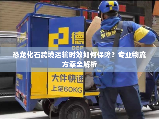 恐龙化石跨境运输时效如何保障？专业物流方案全解析