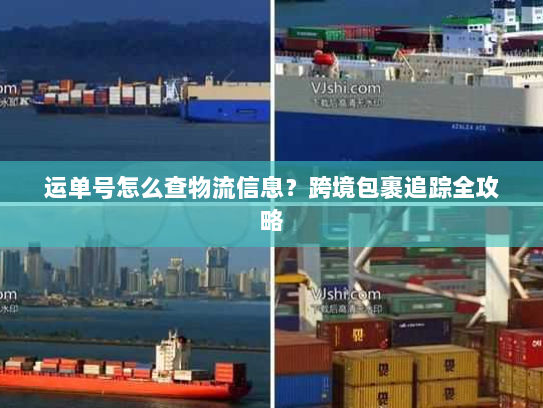 运单号怎么查物流信息？跨境包裹追踪全攻略