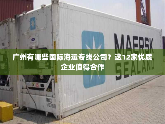 广州有哪些国际海运专线公司？这12家优质企业值得合作