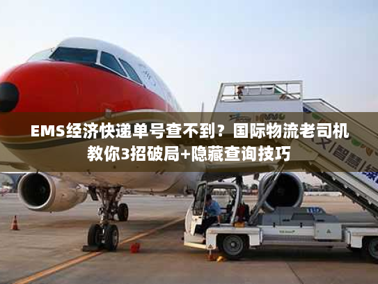 EMS经济快递单号查不到？国际物流老司机教你3招破局+隐藏查询技巧