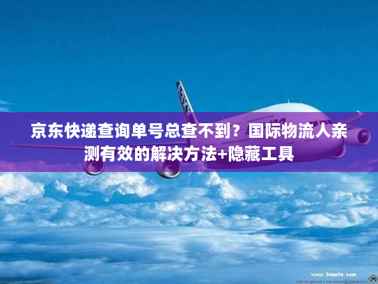 京东快递查询单号总查不到？国际物流人亲测有效的解决方法+隐藏工具