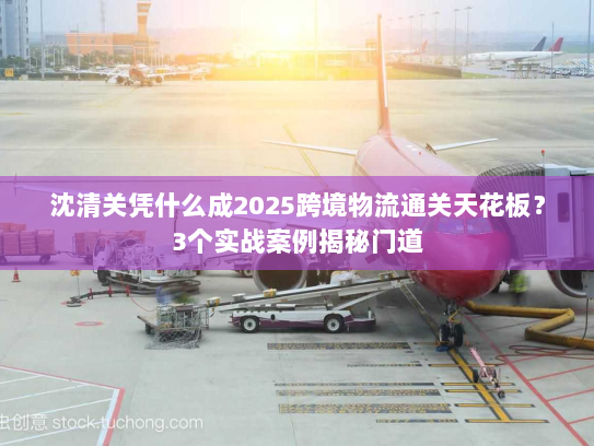 沈清关凭什么成2025跨境物流通关天花板？3个实战案例揭秘门道