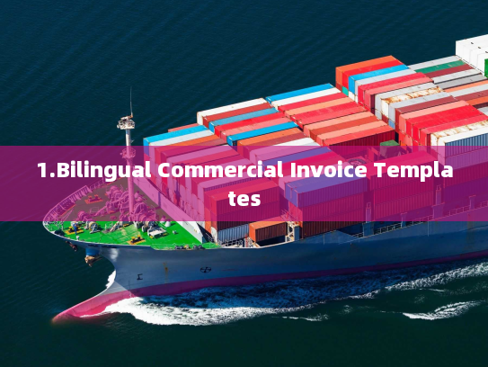 1.Bilingual Commercial Invoice Templates 1.Bilingual Commercial Invoice Templates