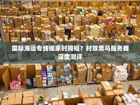 国际海运专线哪家时间短？时效黑马服务商深度测评