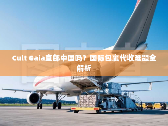 Cult Gaia直邮中国吗？国际包裹代收难题全解析