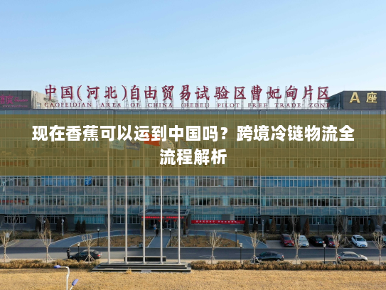 现在香蕉可以运到中国吗?跨境冷链物流全流程解析 现在香蕉可以运到中国吗?跨境冷链物流全流程解析